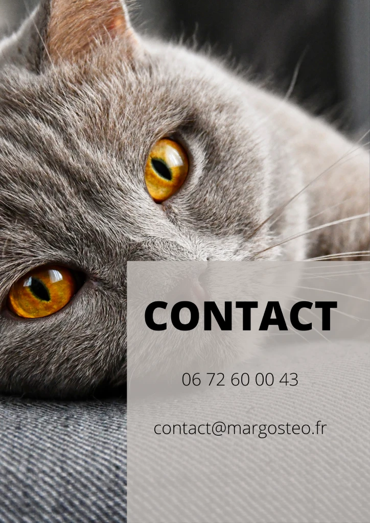 Margo Hocquet - Ostéopathe Animalier - Contact