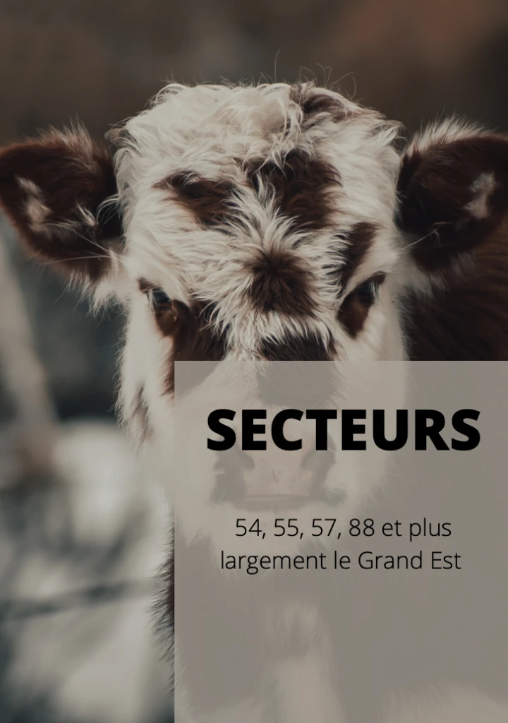 Margo Hocquet - Ostéopathe Animalier - Secteurs